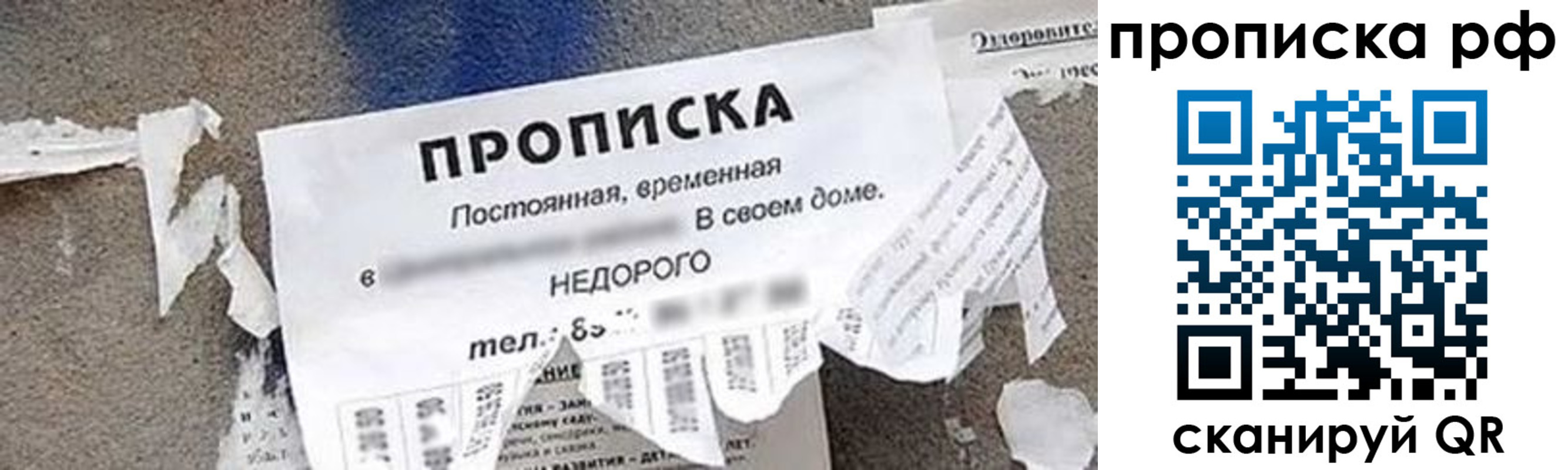 где прописаться в Тогучине